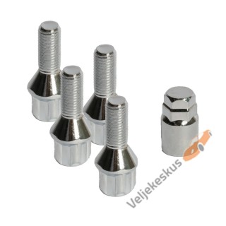 Locking Bolts – Anti-theft (Set of 4)